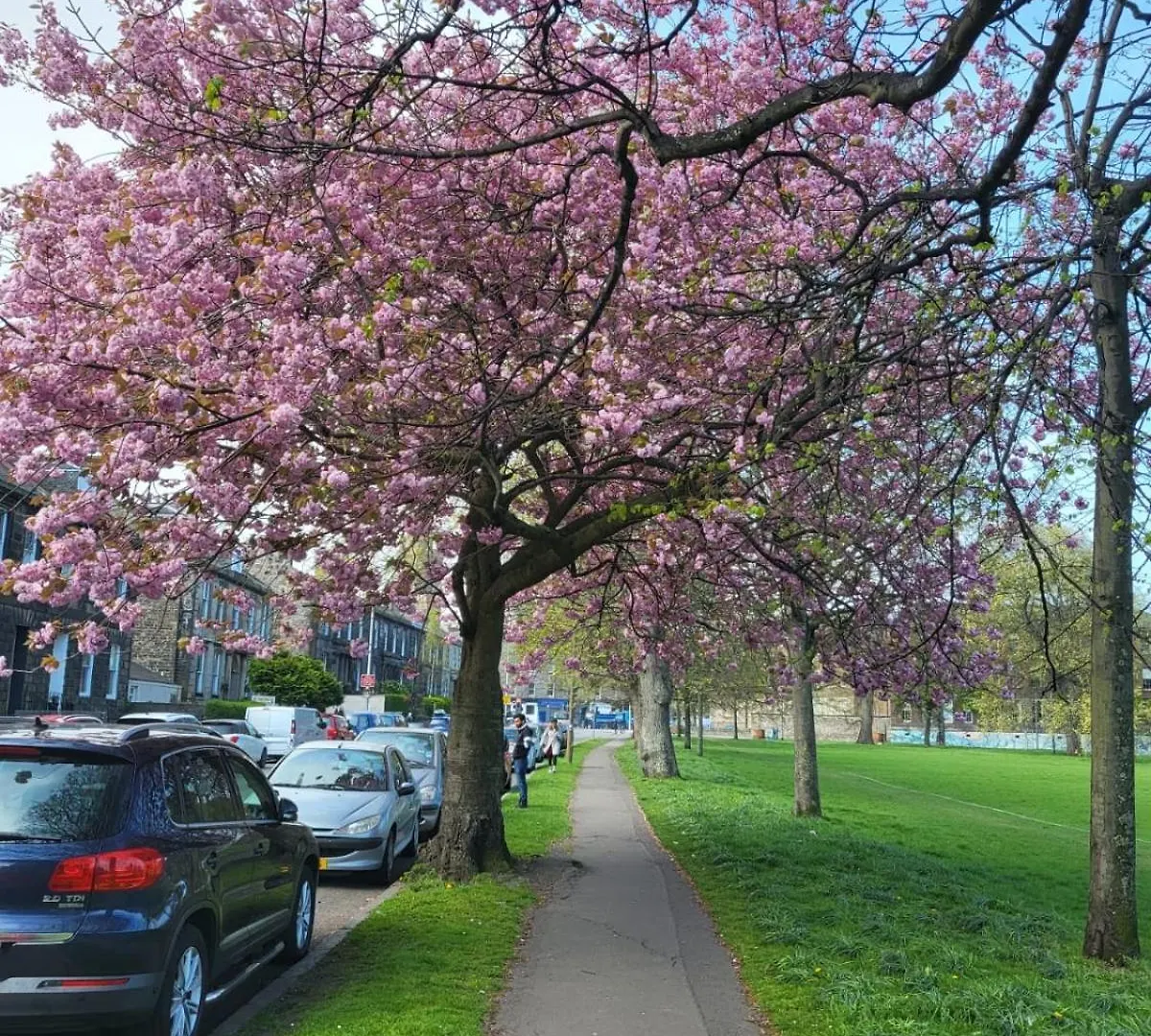 Mackenzie Guest House Edinburgh